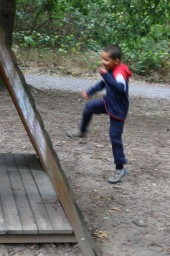 Výlet do lesoparku Hodkovičky